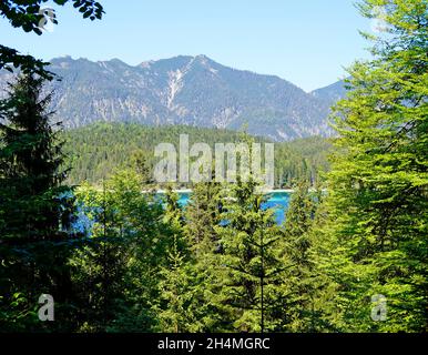 Malerischer türkisfarbener Eibsee am Fuße der Zugspitze in Bayern (Deutschland) Stockfoto