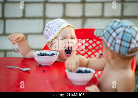 Ein kleines Mädchen und ein Junge essen Heidelbeeren am Tisch. Stockfoto