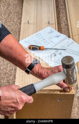 Frau, die ein selbstmontagedes IKEA Billy Bücherregal mit flachen Möbeln baut. Stockfoto