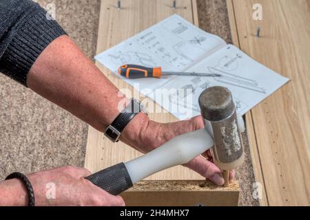 Frau, die ein selbstmontagedes IKEA Billy Bücherregal mit flachen Möbeln baut. Stockfoto