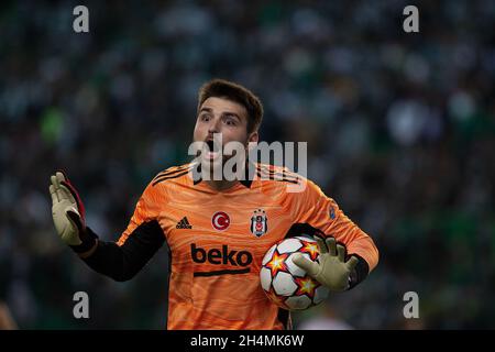 Lissabon, Portugal. November 2021. ERSIN Destanoğlu Torhüter von Beşiktaş reagiert während des UEFA Champions League-Spiel der Gruppe C zwischen Sporting CP und Besiktas am 03. November 2021 im Jose Alvalade Stadium in Lissabon, Portugal. Valter Gouveia/SPP Credit: SPP Sport Press Photo. /Alamy Live News Stockfoto