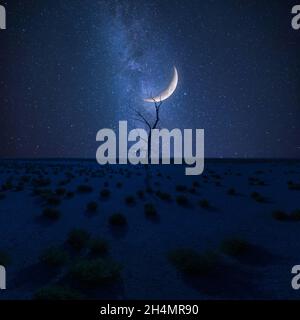 Einsamer trockener Baum in der Wüste in der Nachtlandschaft, Sterne und Mond oben, Klimawandel Stockfoto