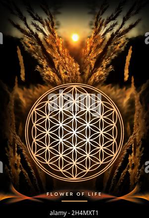 Poster, Wallpaper mit Blume des Lebens in schöner, mystischer Naturlandschaft Stockfoto
