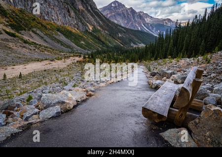 Eine natürliche Blockparkbank mit Blick auf die Edith Cavell Meadows im Jasper National Park Stockfoto