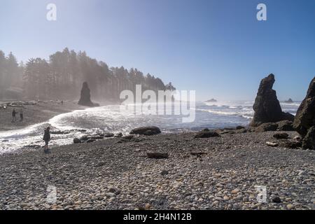 Ruby Beach, WA - USA - 21. September 2021: Horizontale Ansicht von Besuchern, die die Meeresstapel am Ruby Beach im Olympic National Park bewundern Stockfoto