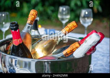 Viele Flaschen Champagner oder Prosecco, gekühlt auf Eis, am Pool des Resorts in einem Luxushotel. Poolparty. Stockfoto