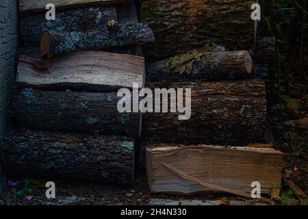 Holzstämme, die übereinander gelegt (geworfen) werden. Kleine Holzstücke, die für den Herbst und das kalte Wetter vorbereitet sind. Herbstholz bereiten sich auf das Erhitzen vor Stockfoto