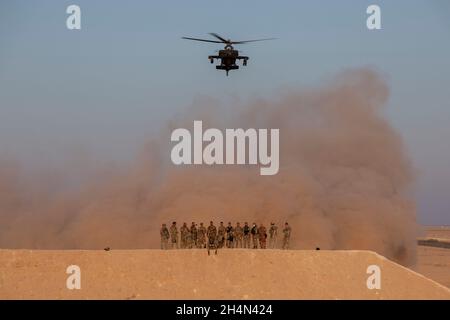 Irakische taktische Angriffskontrolleure (ITACs) der Terrorismusbekämpfungs-Dienste und Joint Attack Controllers (JTACs) der Koalition posieren für ein Gruppenfoto in der Nähe des Luftwaffenstützpunkts Al Asad, Irak, 22. Oktober 2021. Die Gruppe nahm an der Übung Phoenix Fires Teil, um ITACs zu ermöglichen, ihre Fähigkeiten zu verbessern. (USA Army Photo von Staff Sgt. Jose A. Torres, Jr.) Stockfoto