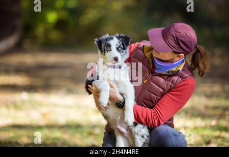 Kaukasische Frau mit Merle Border Collie Welpen im Herbst Park Stockfoto