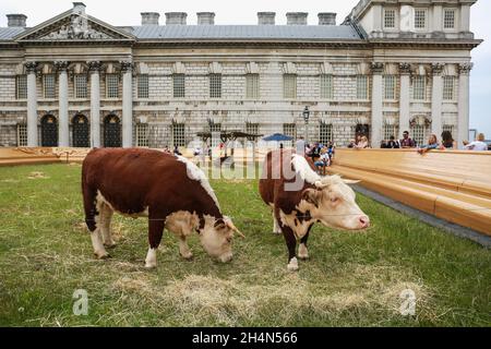 London, Großbritannien. 23. Juni 2019. Captain Boomer Collective beim Greenwich and Docklands International Festival in Greenwich. GDIF. Quelle: Waldemar Sikora Stockfoto