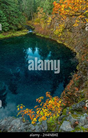 Tamolitch Falls, Blue Pool, McKenzie River National Recreation Trail, Willamette National Forest, Oregon Stockfoto