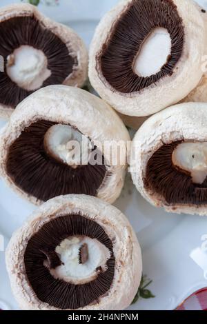 Vertikale Makroaufnahme von Hymenophoren von geschnittenen Champignon-Kappen, auch bekannt als Agaricus bisporus Stockfoto