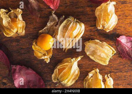 Physalis peruviana. Cape Gooseberry oder gemahlene Kirschen Früchte auf Holztisch. Draufsicht. Stockfoto