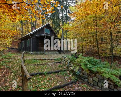 03. November 2021, Brandenburg, Rauen: In der Nähe der alten Schanze im herbstlichen Wald im Rauener Gebirge, auch Rauener Berge genannt, steht eine kleine Hütte des Skiclubs. Diese Hütte steht am Wanderweg zum höchsten Punkt der 153 Meter hohen Rauener Berge. Es gibt einen 40 Meter hohen Aussichtsturm. Bei gutem Wetter hat man von hier aus eine herrliche Aussicht, zum Beispiel bis nach Berlin. Die Rauenberge sind weithin bekannt für ihre Markgrafen. Der Gletschervormarsch während der Eiszeit sorgte dafür, dass Felsblöcke unterschiedlicher Größe über Tausende von Kilometern mit dem Inlandeis transportiert wurden Stockfoto