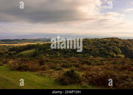 Oktober Wanderung über die karge Landschaft der Quantock Hills, Somerset im Südwesten Englands Stockfoto