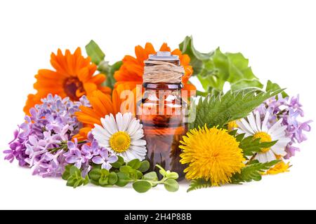Kräuter und Blumen mit organisch aromatischem ätherischem Öl Stockfoto