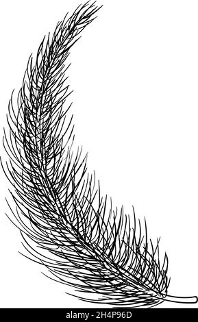 Handgezeichnete Illustration mit Kiefernzweig. Weihnachten Winter Tinte Vektor Kritzeleien Stock Vektor