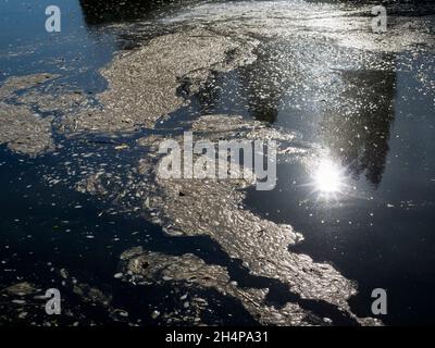 Ich leide unter einer seltsamen Täuschung; das Hinunterblicken ins Wasser erinnert mich oft an sternenklare Nächte oder galaktische Ausblicke. Nehmen Sie diese Ansicht, zum Beispiel - Es ist ac Stockfoto