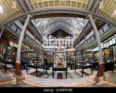 Das Pitt-Museum ist ein Museum, das die archäologischen und anthropologischen Sammlungen der Universität Oxford zeigt. Dieses wunderschöne viktorianische Gebäude Stockfoto