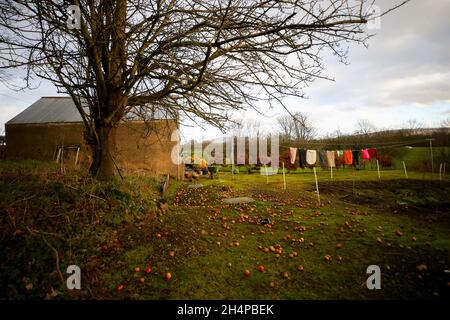 An der Wäscheleine eines Bauernhauses in Armoy (in der Nähe der Dunklen Hecken), Co. Antrim, Nordirland, werden Kleidung zum Trocknen in der Wintersonne aufgehängt. Stockfoto