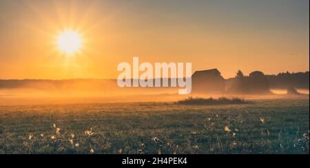 Nebliger Morgen auf dem Land. Sonnenaufgang über dem Feld. Ländliche Landschaft. Gelber Sonnenschein und Sonnenlicht auf einer verschwommenen Wiese. Die Sonne geht über einem nebligen Feld auf. Natur Stockfoto