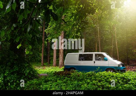 T4 Transporter in einem Wald mit Sonnenschein Stockfoto
