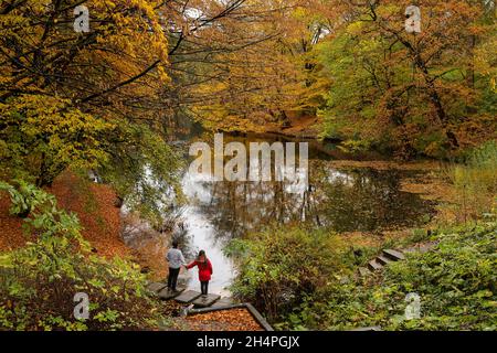 Hamburg, Deutschland. November 2021. Im Park 'Planten un Blomen' beobachtet ein Paar die Spiegelungen der Herbstblätter im Wasser bei regnerischem Wetter. Quelle: Ulrich Perrey/dpa/Alamy Live News Stockfoto