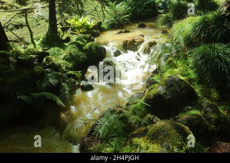 Kleiner Wasserfall mit Kaskaden in Fournas auf den azoren Stockfoto