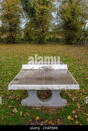 Öffentliche Tischtennisplatte aus Beton oder Tischtennisplatte in einem grünen Feld mit Herbstfarben. Stockfoto