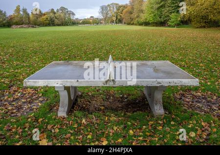 Öffentliche Tischtennisplatte aus Beton oder Tischtennisplatte in einem grünen Feld mit Herbstfarben. Stockfoto