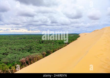 Dune du Pilat an der Küste des Atlantischen Ozeans. Düne de Pyla höchste Düne in Europa. Riesige Sanddüne und Wald Stockfoto