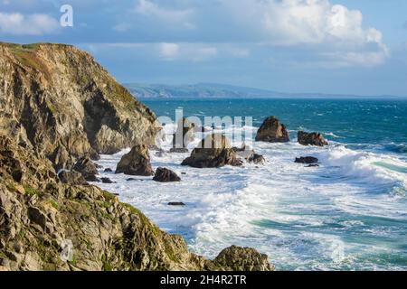 Wellen stürzen entlang der Bodega Bay im Norden Kaliforniens. Die Bodega Bay ist eine malerische Gegend entlang des California Highway 1. Stockfoto