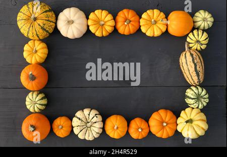 Herbstlicher Rahmen aus Kürbissen und Kürbissen auf Holzhintergrund. Stockfoto