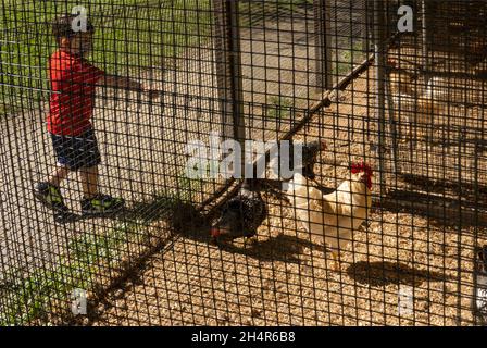 Drumlin Farm Wildlife Sanctuary Mass Audubon Lincoln Massachusetts Stockfoto