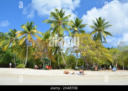 Saint Thomas, amerikanische Jungferninseln - 23. März 2017 : Touristen am Strand von Magens Bay im nördlichen Teil der Insel Saint Thomas in der Karibik Stockfoto