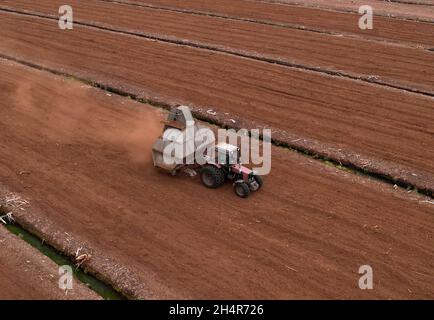 Torf-Harvester-Traktor zum Sammeln von entpackenden Torfböden. Bergbau und Ernte von Torfland. Die aus dem Schlamm entwässerten Flächen werden für die Torfgewinnung verwendet. Abfluss Stockfoto