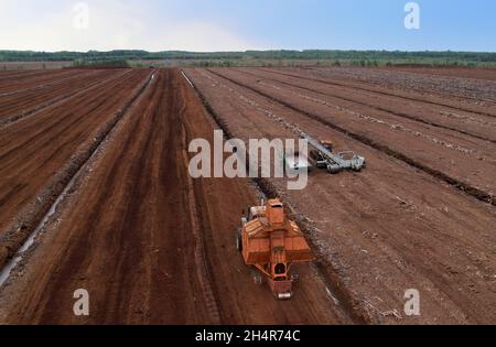 Torf-Harvester-Traktor zum Sammeln von entpackenden Torfböden. Bergbau und Ernte von Torfland. Die aus dem Schlamm entwässerten Flächen werden für die Torfgewinnung verwendet. Abfluss Stockfoto