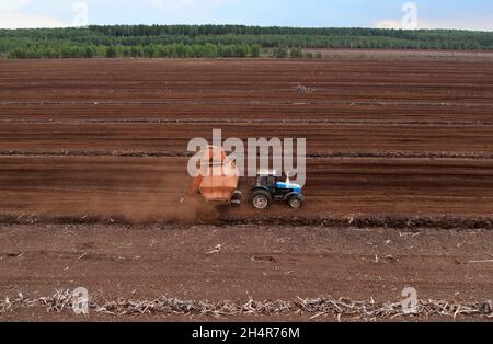 Torf-Harvester-Traktor zum Sammeln von entpackenden Torfböden. Bergbau und Ernte von Torfland. Die aus dem Schlamm entwässerten Flächen werden für die Torfgewinnung verwendet. Abfluss Stockfoto