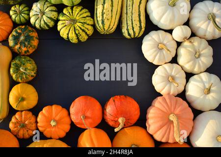 Kürbisse bunte Sorten Grenze. Kürbisse und Kürbisse auf schwarzem Holzhintergrund. Stockfoto