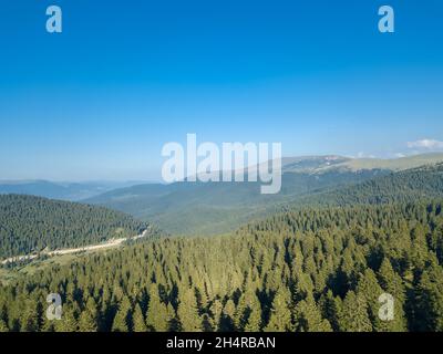 Drohnenansicht eines Nadelwaldes in den Bergen an einem sonnigen Tag. Wunderschöne Berg-, Waldlandschaft mit blauem Himmel Stockfoto