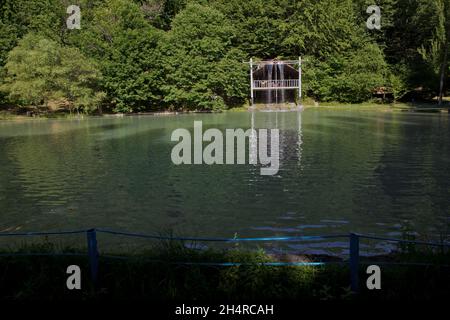 Aserbaidschan Gabala. Grünen Wald am See in der Reflexion im Wasser Schönheit in der Natur. Saubere, grüne Bäume Reflexion über den Bergsee Oberfläche Stockfoto