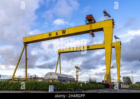BELFAST, VEREINIGTES KÖNIGREICH - 09. Okt 2021: Die gelben Krane Samson und Goliath in Belfast, Vereinigtes Königreich Stockfoto