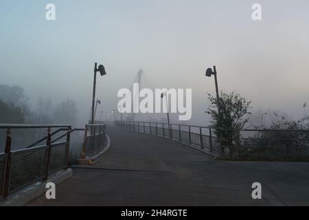 Der Herrenkrugsteg, eine Hängebrücke über die Elbe auf dem Elbradweg bei Magdeburg im Nebel Stockfoto