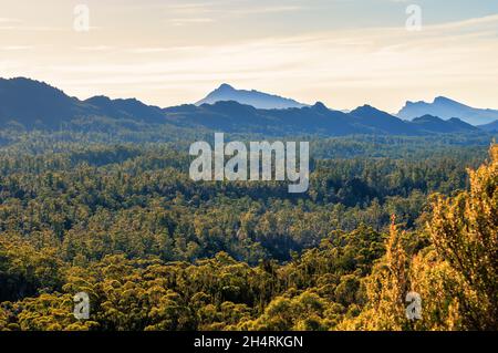 Tasmanische Wildnis, abseits der Gordon River Road, Tasmanien, Australien Stockfoto