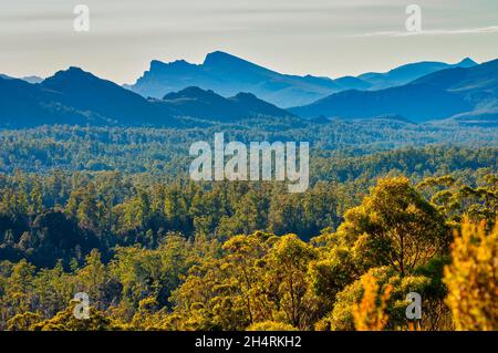 Tasmanische Wildnis, abseits der Gordon River Road, Tasmanien, Australien Stockfoto