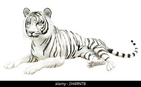 Digital gerenderter weißer Tiger mit blauen Augen, 3D Illustration. Stockfoto