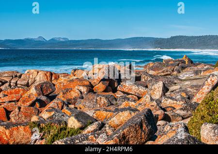 Flechten bedeckte Felsen in der Bucht der Brände, Tasmanien, Australien Stockfoto