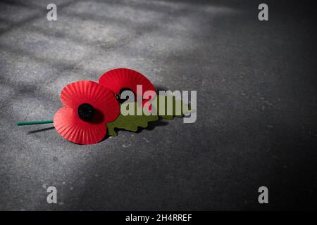 Tag der Erinnerung an den Weltkrieg. Roter Mohn ist Symbol der Erinnerung an die Gefallenen im Krieg. Rote Mohnblumen auf dunklem Steingrund Stockfoto