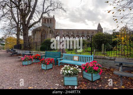 Ruinen der Jedburgh Abbey in Jedburgh, Scottish Borders, Schottland, Großbritannien Stockfoto