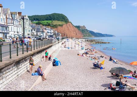 Sidmouth Devon Sidmouth Beach, eine Mischung aus Sandschindeln und Kieselsteinen die Promenade Sidmouth Town Sidmouth Devon England GB Stockfoto